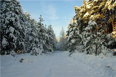 育碧展示《刺客信条：幻景》主题Xbox Series X主机 抽奖赠送